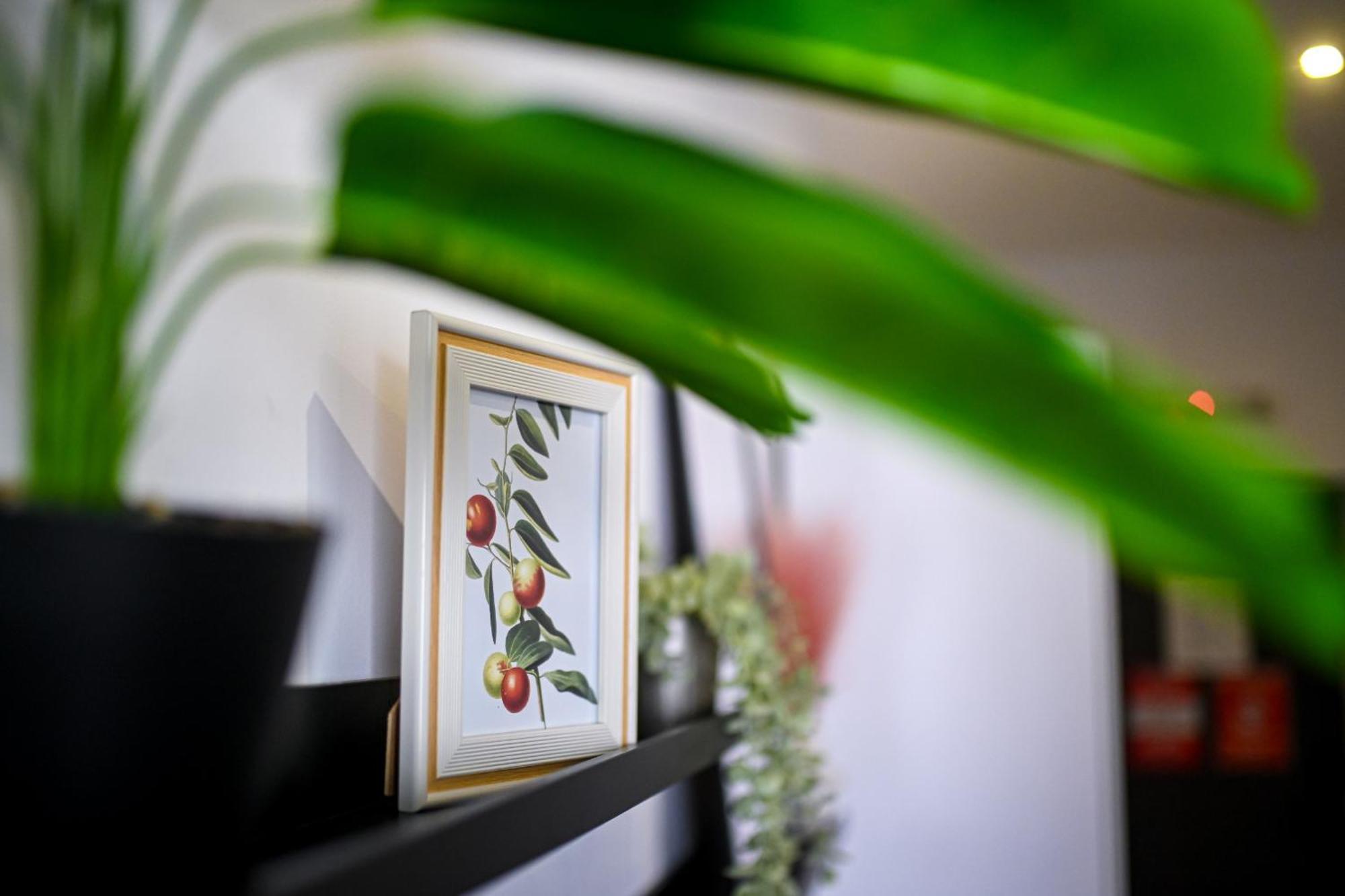 Urban Elegance - Stylish Central Accommodation Bucharest Room photo